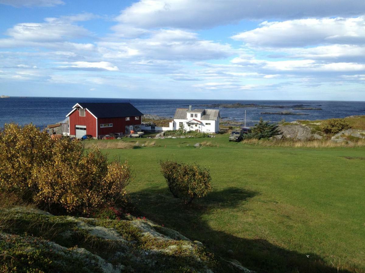 Lofoten Ocean View - Sandoy Gard ساند المظهر الخارجي الصورة