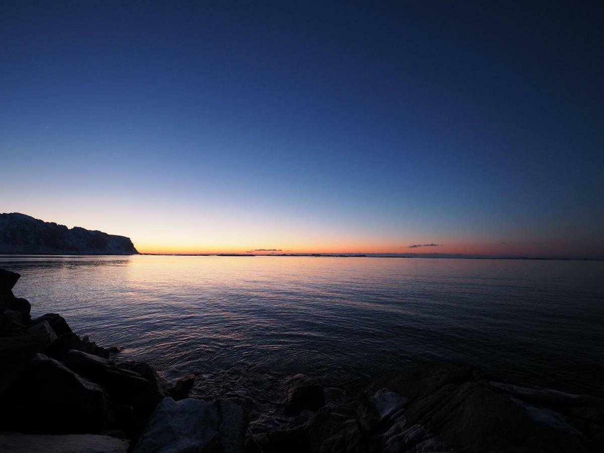Lofoten Ocean View - Sandoy Gard ساند المظهر الخارجي الصورة