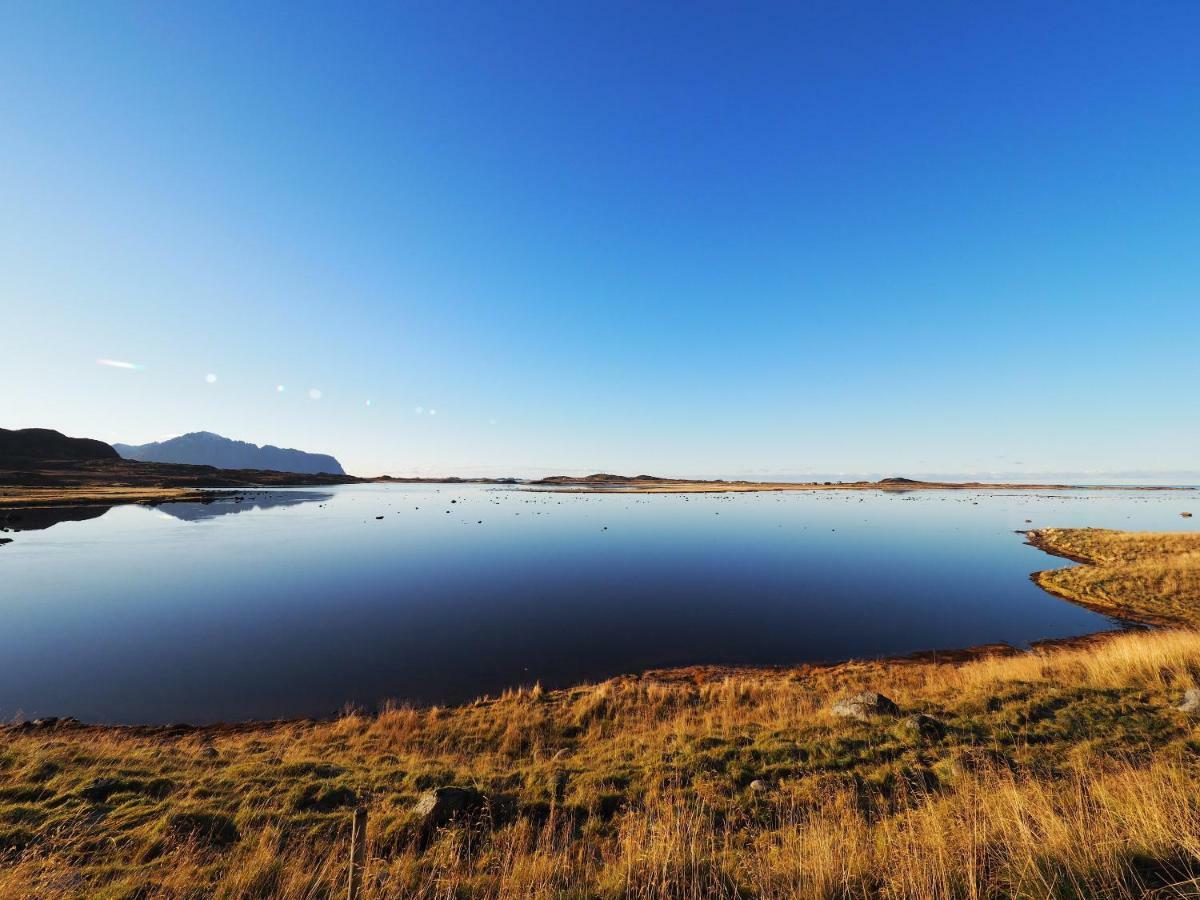 Lofoten Ocean View - Sandoy Gard ساند المظهر الخارجي الصورة