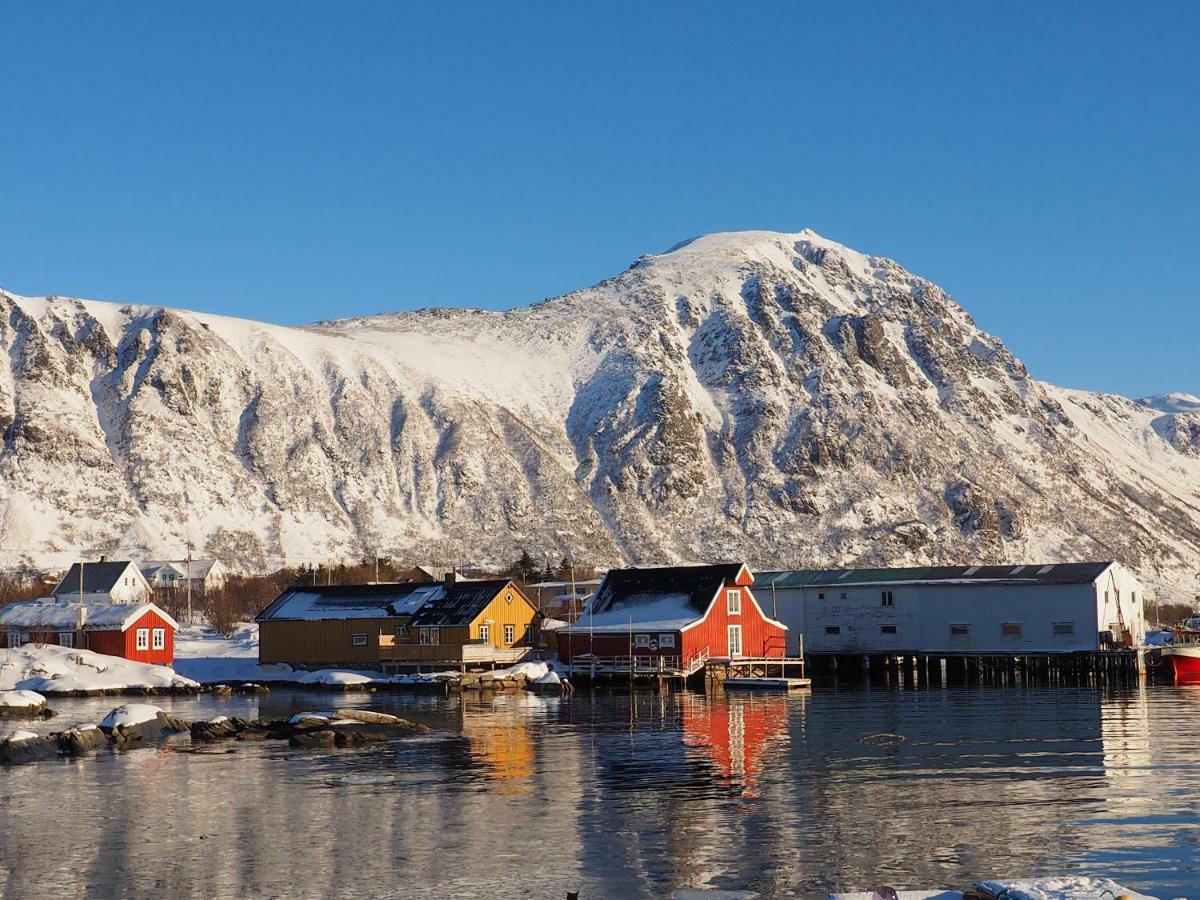 Lofoten Ocean View - Sandoy Gard ساند المظهر الخارجي الصورة